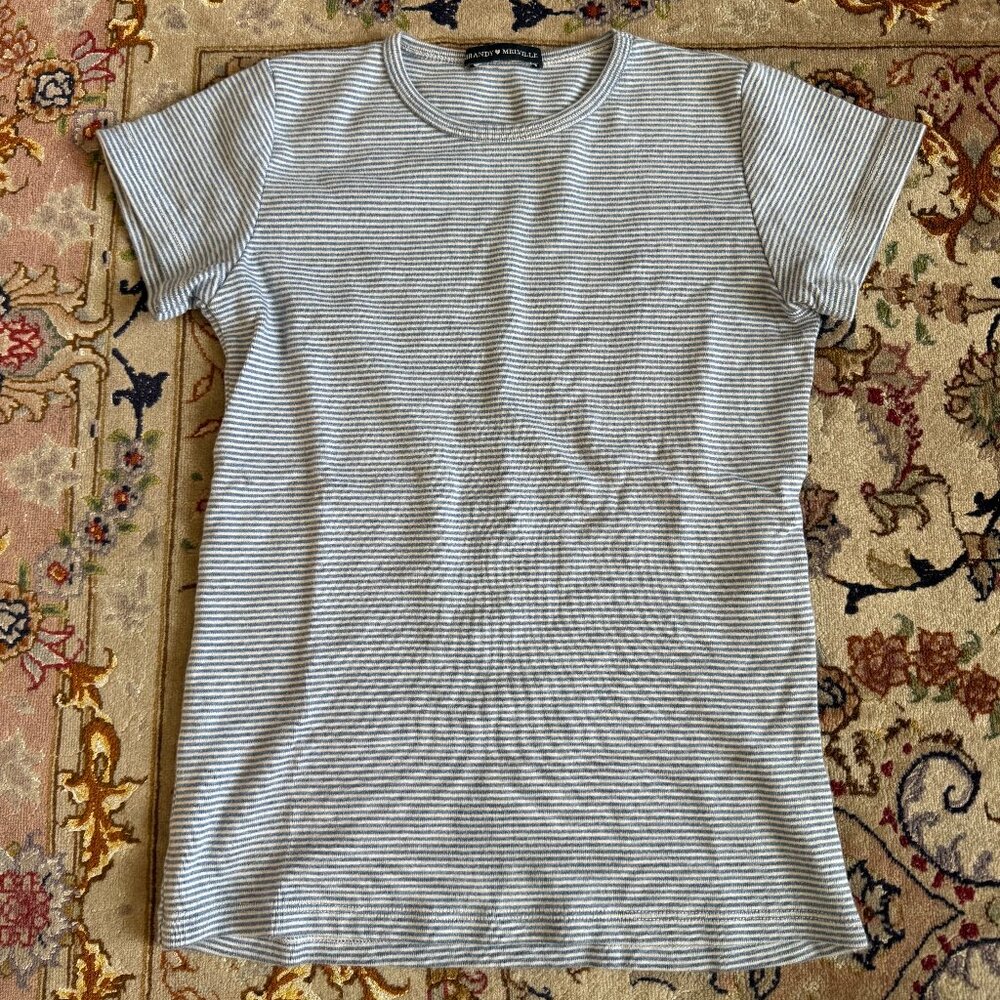Brandy Melville Blue striped top
